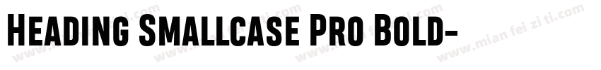 Heading Smallcase Pro Bold字体转换